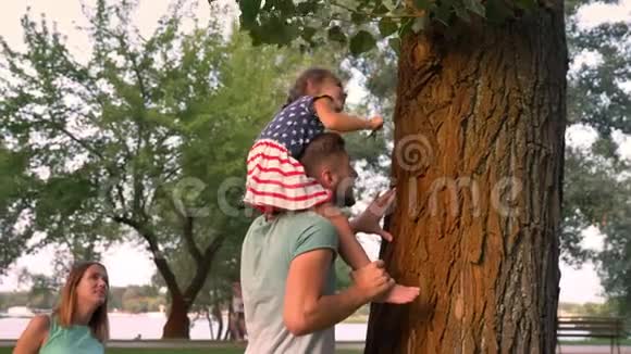 年轻的一家人夏天在公园散步女孩坐在父亲肩上摘下树叶视频的预览图