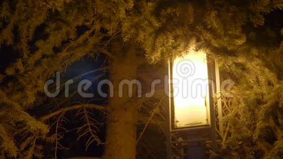 明亮的黄昏灯笼在弗里特和冬季降雪圣诞节和新年视频的预览图