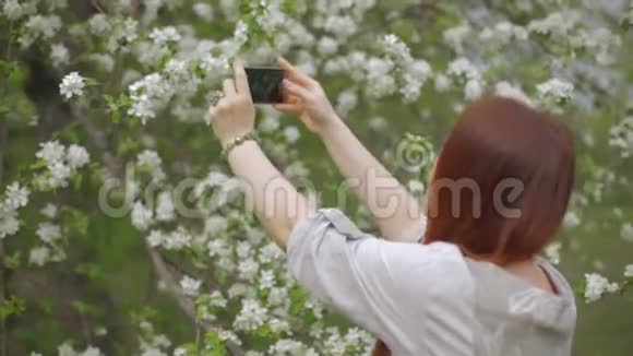 生活方式的女人红头发在花园里拍苹果树的花视频的预览图