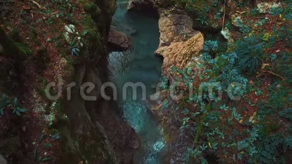佐治亚州森林自然的迷人之美马尔维利峡谷潮湿的气候峡谷中的阴凉石头上的苔藓视频的预览图