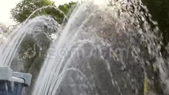 城市公园里的一棵绿树上的喷泉视频的预览图