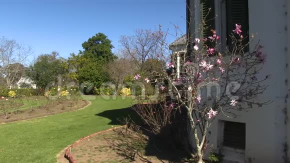 开满鲜花的后院视频的预览图
