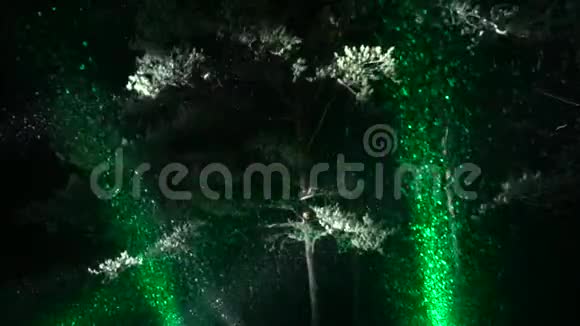 冬天森林里大雪纷飞夜晚有彩色的点灯视频的预览图