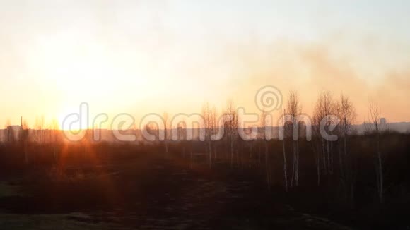 红日在烟雾中夕阳西下在城市的背景下森林大火和干草复制空间紧急情况视频的预览图