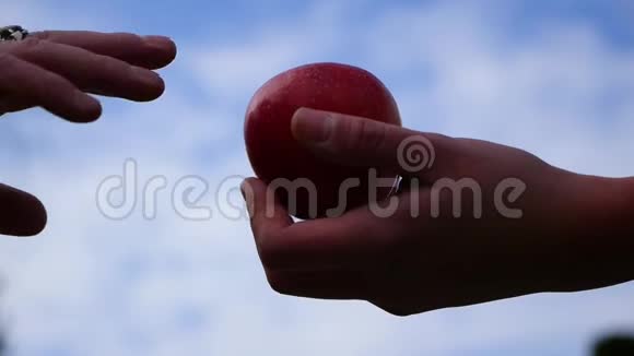 特写的雌性手拿着红色成熟的苹果雄性手拿着它对抗蓝天视频的预览图
