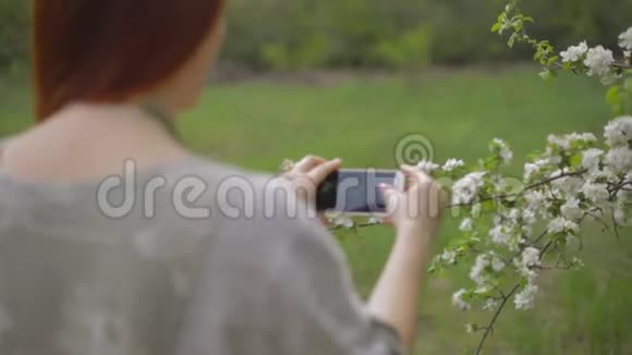 生活方式的女人红头发在花园里拍苹果树的花视频的预览图