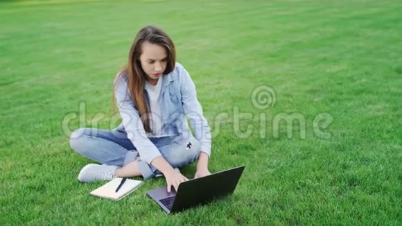 体贴的女人在夏天公园的笔记本电脑上在线学习视频的预览图
