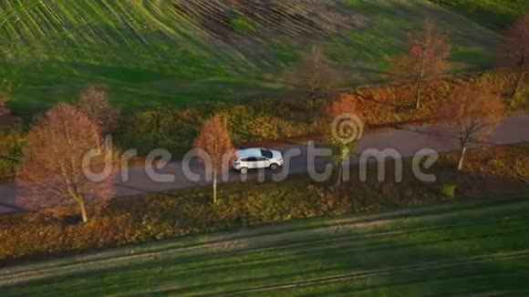 三合一视频一辆汽车沿着两块田之间的乡村道路行驶的俯视图视频的预览图