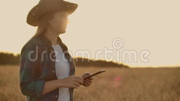 日落背景下麦田里的年轻女农民一个女孩摘下麦穗然后用药片农夫是视频的预览图
