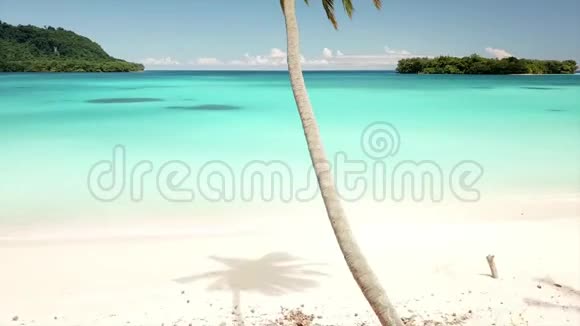 一棵棕榈树在美丽的白色沙滩上的空中景色清澈的蓝色海水视频的预览图