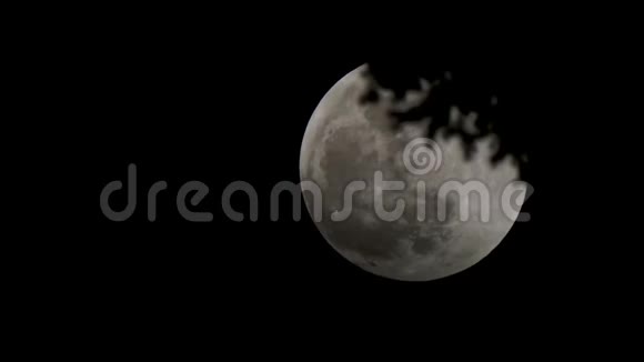 月食后下半暗的超级月亮从夜晚的树枝后开始视频的预览图