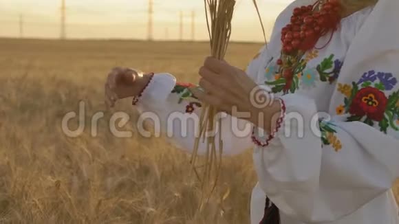 慢镜头特写穿着民族服装的女人早上在地上手撕麦穗视频的预览图