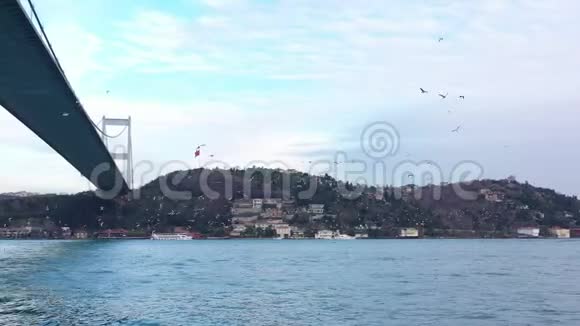 伊斯坦布尔博斯普鲁斯海峡大桥下与海鸥视频的预览图
