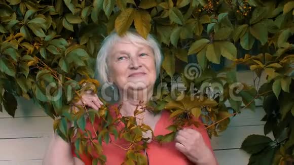 幸福的老女人在墙边的绿叶上摆姿势视频的预览图