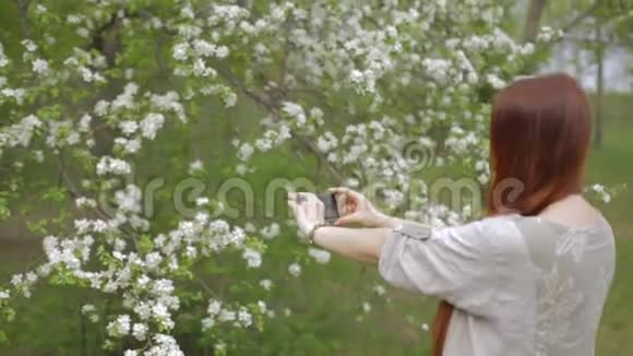 生活方式的女人红头发在花园里拍苹果树的花视频的预览图