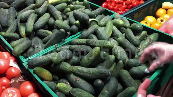 市场上的女性手工采摘黄瓜选择和购买水果或绿色蔬菜的特写概念视频的预览图