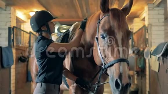 一个女人刷马鬃毛特写一个运动员为她的马准备骑马刷它的鬃毛视频的预览图