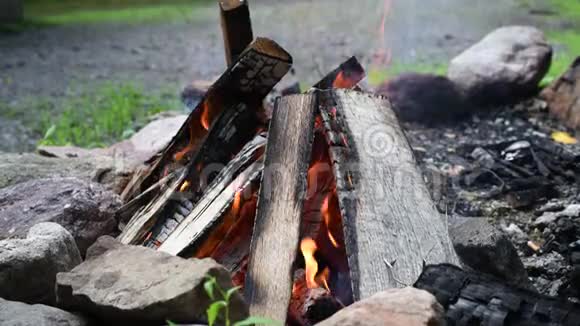 篝火火焰的宿营火烧柴火户外美丽的篝火视频的预览图