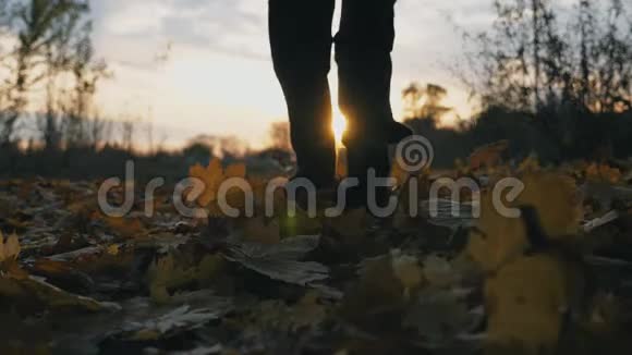 不可辨认的运动员在秋天公园慢跑踢干落叶男性运动员训练剪影视频的预览图