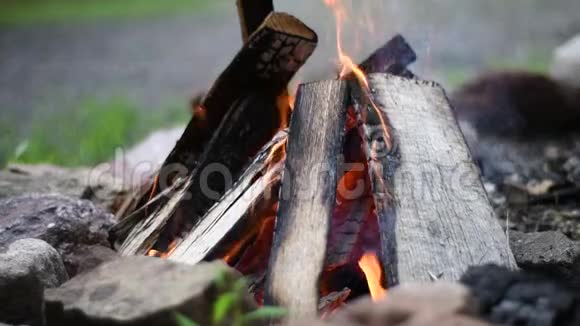 篝火火焰的宿营火慢动作烧柴火户外美丽的篝火视频的预览图