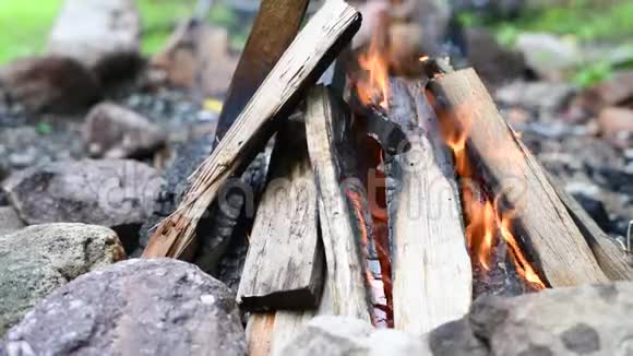 篝火火焰的宿营火烧柴火户外美丽的篝火视频的预览图