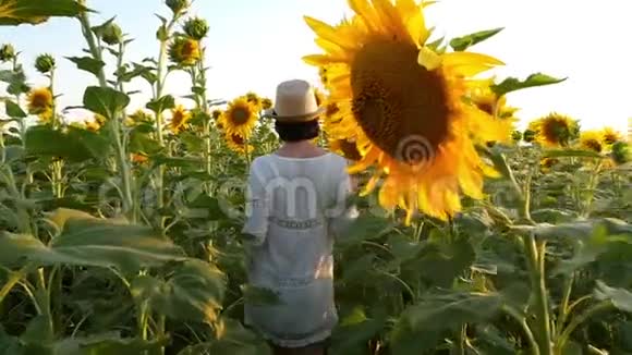 一个穿着白色连衣裙和草帽的年轻女人正走在向日葵的田野里视频的预览图