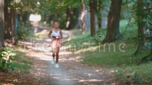 年轻的女士在跑步女跑步者跑过夏季公园路在公园里健身很漂亮的女孩视频的预览图