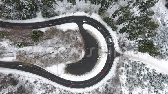 穿过冬青林的道路鸟瞰跟踪拍摄视频的预览图