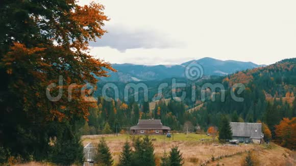 十月初秋喀尔巴阡山上美丽的多色树叶一些人的自然美视频的预览图