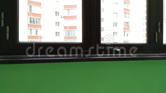 阳台窗台上的灰色条纹小猫跳楼视频的预览图