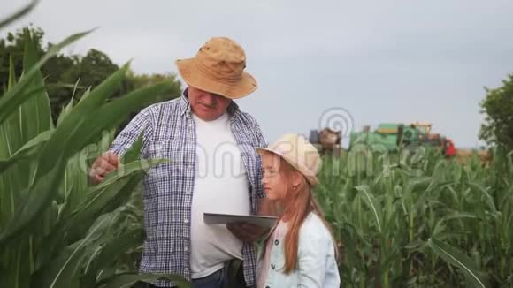 女孩和祖父在玉米地祖父农民正在教年轻一代使用平板电脑概念视频的预览图