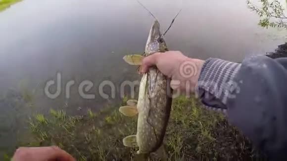 年轻的渔夫积极在湖边钓鱼人类释放派克视频的预览图