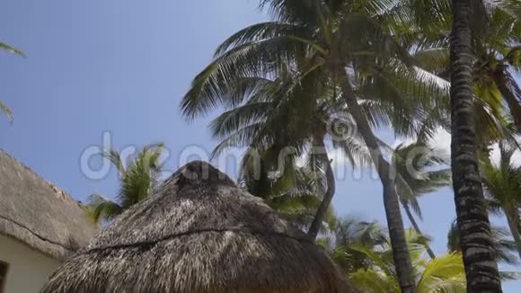 茅草屋顶海滩别墅4K视频的预览图