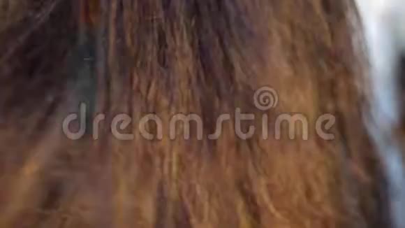 棕色女性头发随空气流动的电影镜头视频的预览图