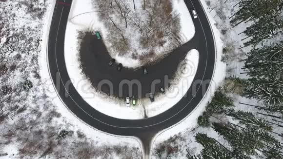 穿过冬青林的道路鸟瞰跟踪拍摄视频的预览图