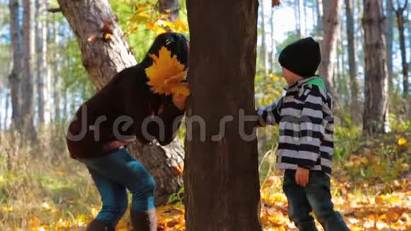一个女人在秋天的森林里和一个孩子玩慢动作视频的预览图