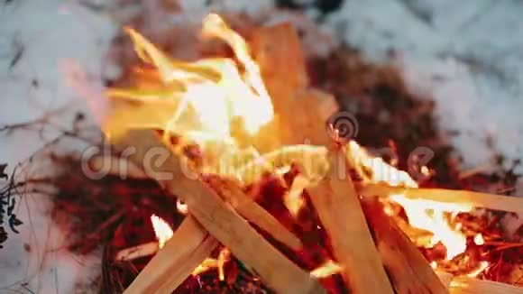 冬天篝火燃烧着明亮的火焰视频的预览图