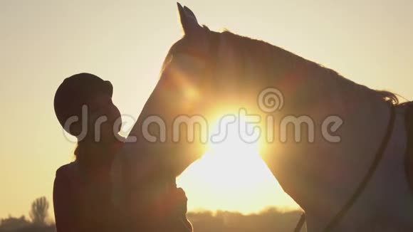马妇正站在田野里抚摸着马美丽的日落慢动作关门视频的预览图