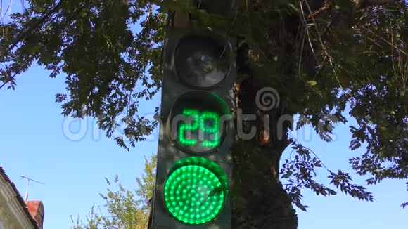 路口的红绿灯视频的预览图