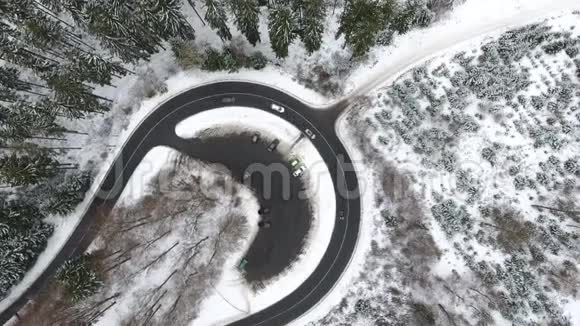 穿过冬青林的道路鸟瞰跟踪拍摄视频的预览图