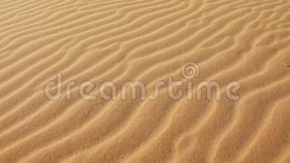 沙子和风视频的预览图