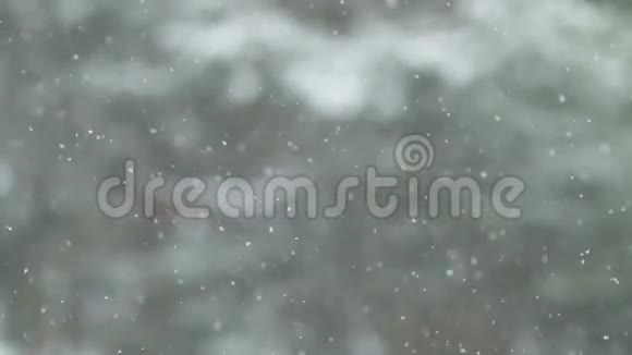 雪落在墙林上视频的预览图