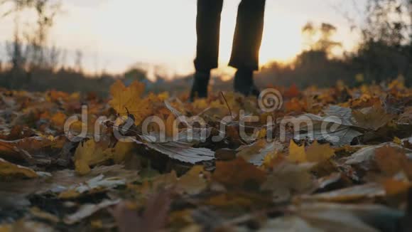 秋天公园里奔跑的男运动员脚踩着干枯的落叶日落时的自然运动训练视频的预览图