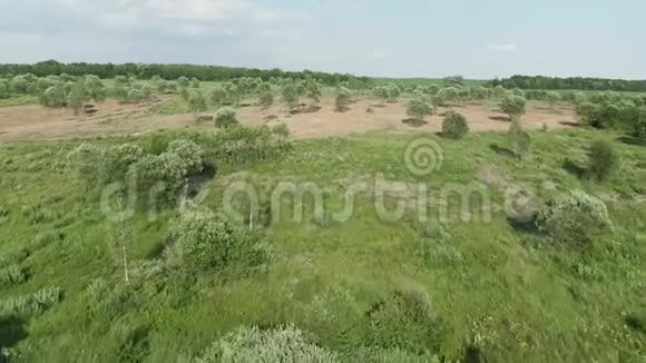 美丽的夏日风景绿色的田野和树木陡峭的沙地路空中射击视频的预览图