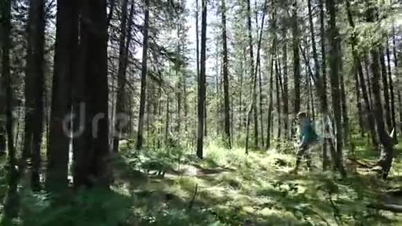 阳光明媚的日子背着背包的年轻女游客正在森林里散步远射视频的预览图