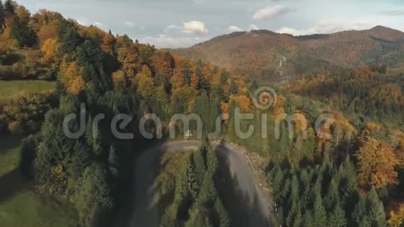 茂密的森林和草地之间风景如画的蜿蜒道路视频的预览图