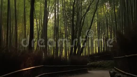 京都竹林视频的预览图