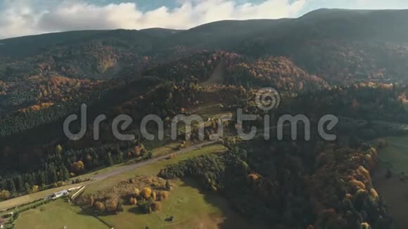 灰色柏油路环绕着阳光照耀的混合森林视频的预览图