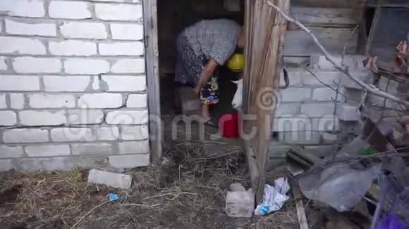 成熟的女人在从山羊那里收集牛奶之前要把山羊奶弄干净视频的预览图