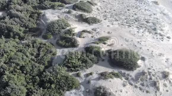 晴天的沙丘和植被鸟瞰图视频的预览图